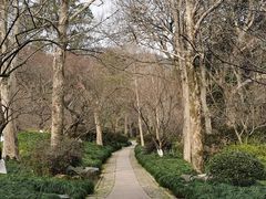 -杭州植物园
