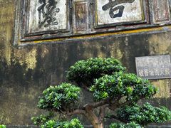 -普陀山慧济禅寺