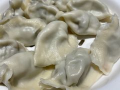 茴香猪肉-东方饺子王(工农大路店)