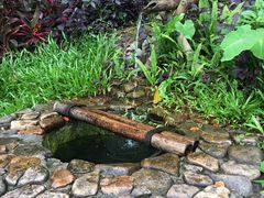 -呀诺达热带雨林