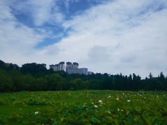 -贵阳市花溪国家城市湿地公园