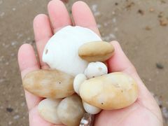 -那香海钻石沙滩浴场