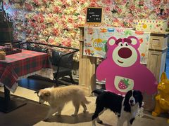 -百好乐宠物友好餐厅(朝外大街店)