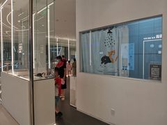-babydoll猫舍·米努特·德文·缅因(久光中心店)