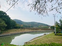 -上海佘山国家森林公园天马山园