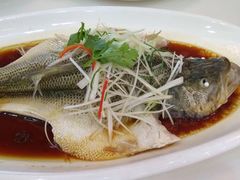 -红菜坊·烤鸭·川鲁宴(石园店)