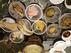 海胆-半岛翡丽海鲜自助餐厅(观风亭店)