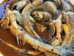 海鲶鱼-渔民船说·北塘海鲜·天津菜·海肠捞饭(北塘古镇店)