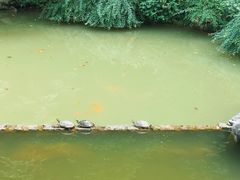 -杭州西湖风景名胜区-三生石