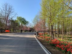 -石家庄市植物园