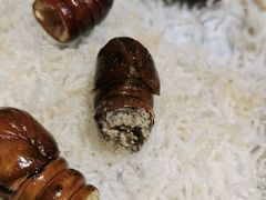 -永红源·啤酒烧烤海鲜大排档(台柳路店)