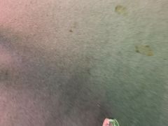 -红荔村肠粉(岗厦店)