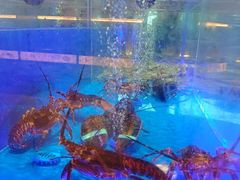 -鲜得莱渔港·小平岛海胆馆(七贤岭店)