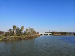 -三垟湿地