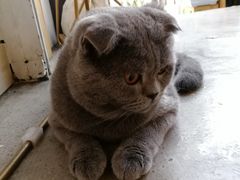 吖拾-拾壹cafe·工作室