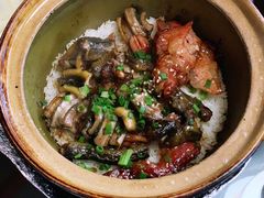 -红星光发煲仔饭(文海店)