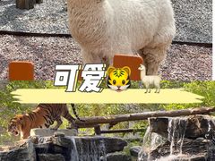 -北京野生动物园