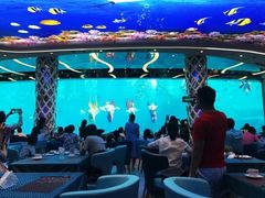 -瑞德姆美人鱼海底演艺主题餐厅(亚龙湾店)
