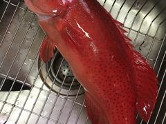 -江杨农产品批发市场