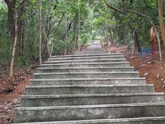 -天鹿湖森林公园