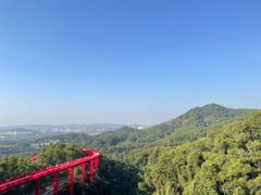 -光明刘冰乳鸽店(光明法政北路店)