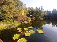 -上海滨江森林公园