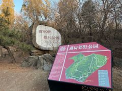 -白水寺森林公园