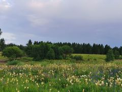 -塞罕坝国家级自然保护区