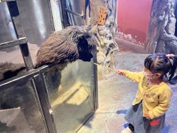 点击看大图 -酷嗒动物文化乐园(cutezoo西溪乐天城店)