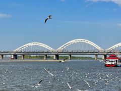 -人民防洪胜利纪念塔