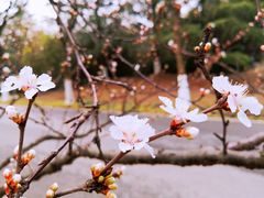-白塘生态植物园