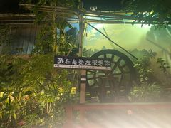 -老崇左特色风味食馆