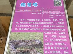 -广东茂名森林公园