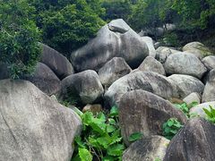 -火炉山森林公园