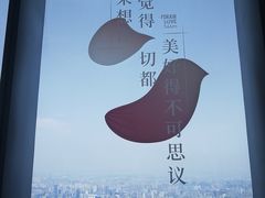 -上海环球金融中心骑迹50年环球之旅