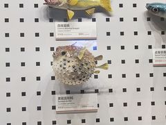 -四川大学博物馆