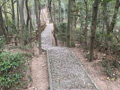 -上海佘山国家森林公园天马山园