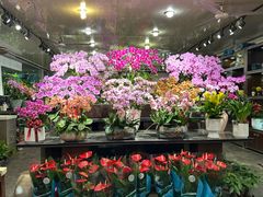 -双季花艺园艺市场(浦东店)