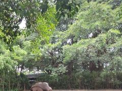 -广州长隆飞鸟乐园