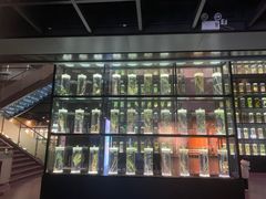 -广东中医药博物馆