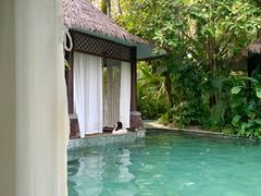 -碧桂园润杨溪谷温泉酒店