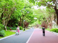 -南宁南湖公园