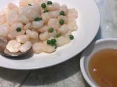 -裕.鹅庄