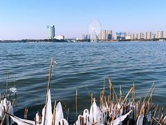 -长广溪湿地公园