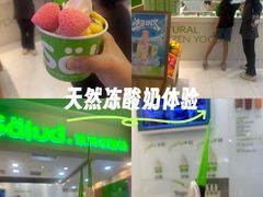 -Salud撒露欧洲冻酸奶(蓝色港湾店)