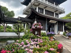 -无锡蠡湖国家湿地公园-蠡园