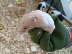 -怪兽屋·羊驼·猫咖·狗咖(俊华广场店)