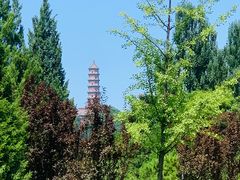 -北坞公园