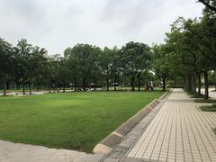 -新江湾城公园
