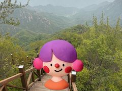 -大岭沟猕猴桃谷风景区